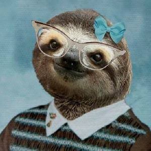 Meet your Posher, Anna